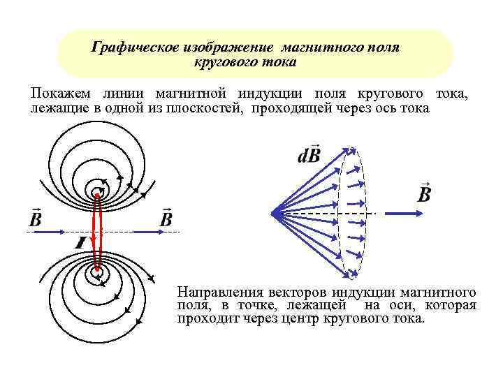 Изобразить магнитное поле витка с током. Силовые линии магнитного поля кольцевого магнита. Линии магнитной индукции поля кругового тока. Изобразите силовые линии магнитного поля круговых токов. Магнитные силовые линии кольцевого магнита.