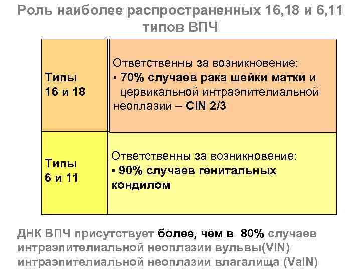 Роль наиболее распространенных 16, 18 и 6, 11 типов ВПЧ Типы 16 и 18