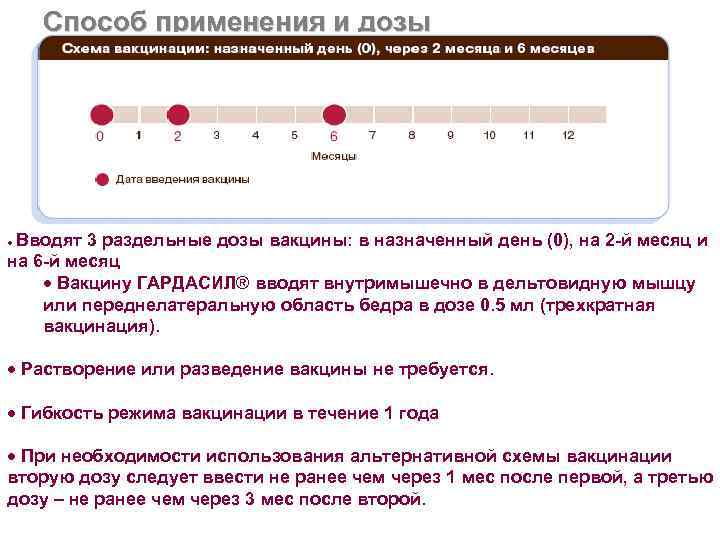 Способ применения и дозы Вводят 3 раздельные дозы вакцины: в назначенный день (0), на