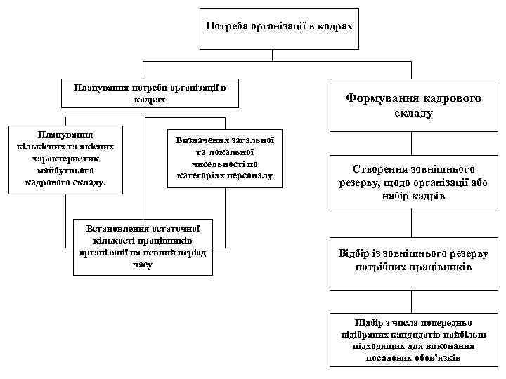 Потреба організації в кадрах Планування потреби організації в кадрах Планування кількісних та якісних характеристик