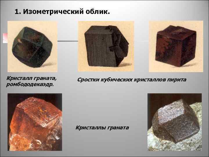 1. Изометрический облик. Кристалл граната, ромбододекаэдр. Сростки кубических кристаллов пирита Кристаллы граната 