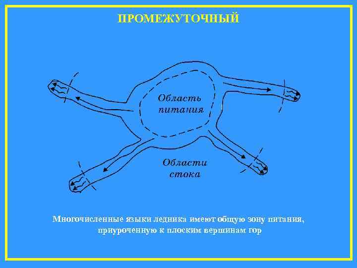    ПРОМЕЖУТОЧНЫЙ Многочисленные языки ледника имеют общую зону питания,  приуроченную к
