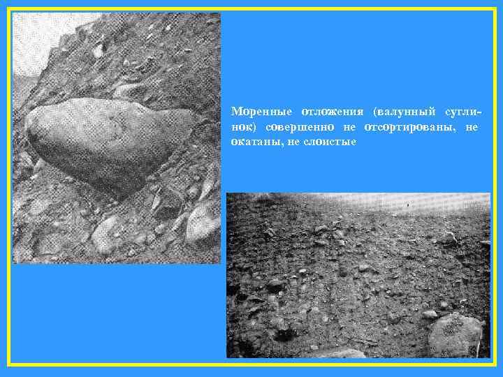 Моренные отложения (валунный сугли- нок) совершенно не отсортированы, не окатаны, не слоистые 