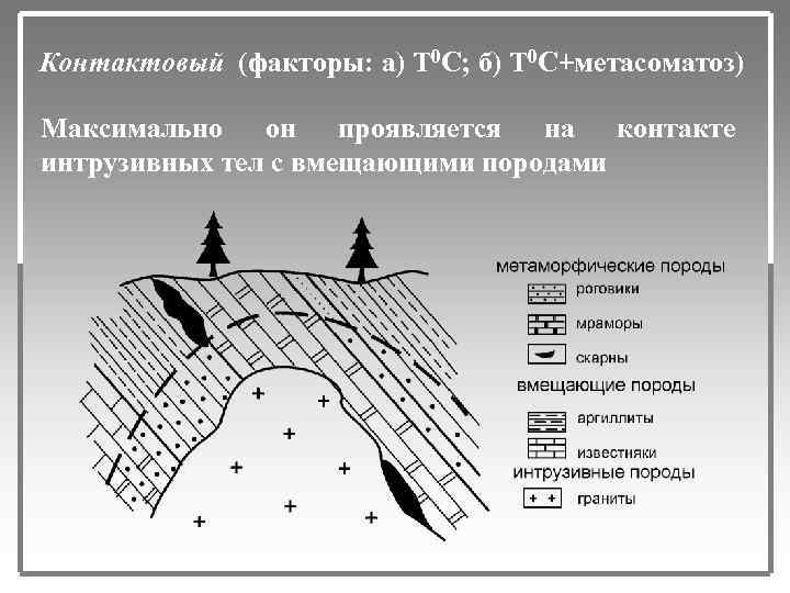 Т фактор. Контактовый метаморфиз. Породы контактового метаморфизма. Метасоматический метаморфизм. • Метаморфическая порода контактового метаморфизма.