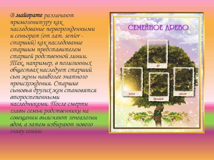 В майорате различают примогенитуру как наследование перворожденными и сеньорат (от лат. senior старший) как