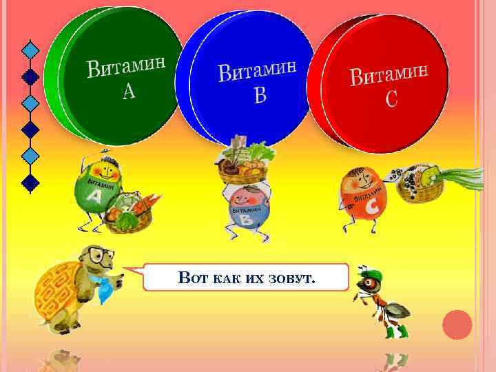 ВОТ КАК ИХ ЗОВУТ. 