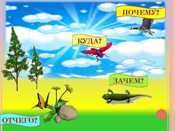 ПОЧЕМУ? КУДА? ЗАЧЕМ? ОТЧЕГО? 