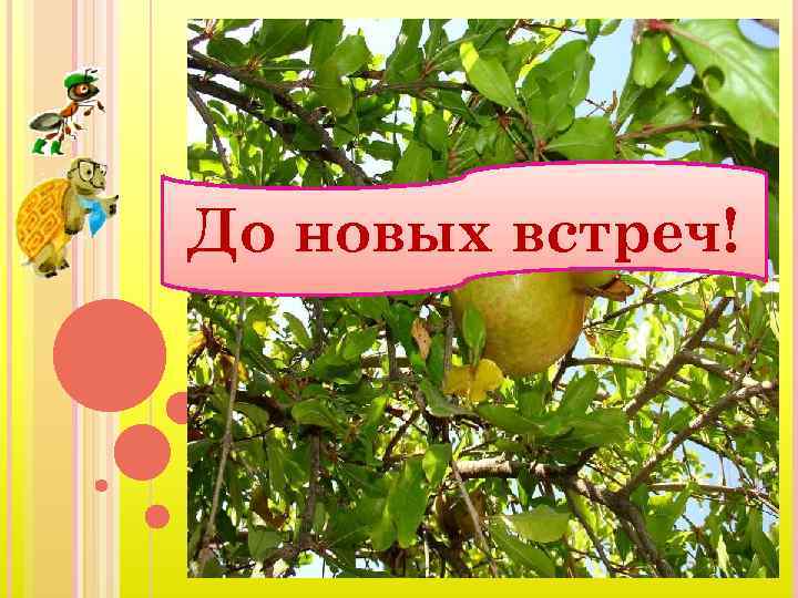 До новых встреч! 