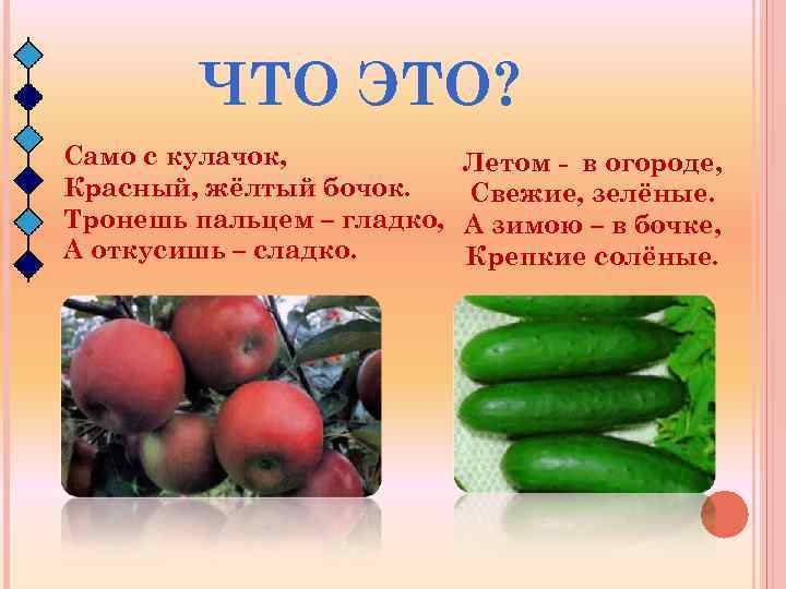 ЧТО ЭТО? Само с кулачок, Красный, жёлтый бочок. Тронешь пальцем – гладко, А откусишь
