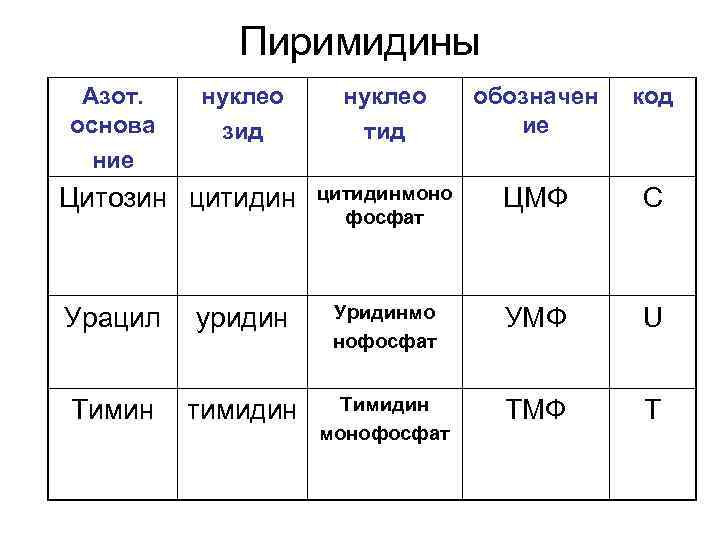 Пиримидины Азот. основа ние нуклео зид Цитозин цитидин нуклео тид обозначен ие код цитидинмоно