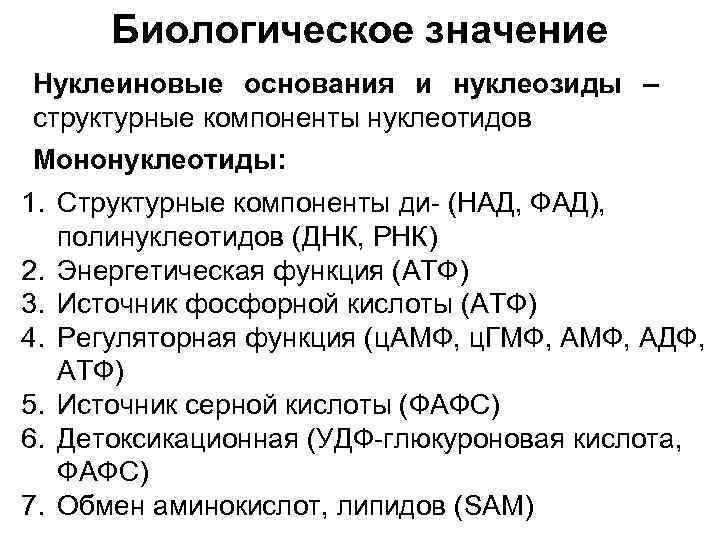 Биологическое значение Нуклеиновые основания и нуклеозиды – структурные компоненты нуклеотидов Мононуклеотиды: 1. Структурные компоненты