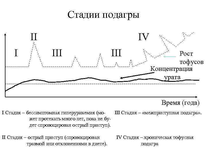 Стадии подагры II I IV III Рост тофусов Концентрация урата Время (года) I Стадия