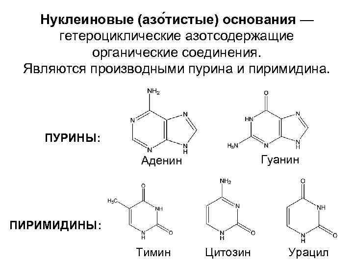 Добавьте подписи к изображениям азотсодержащих гетероциклических соединений