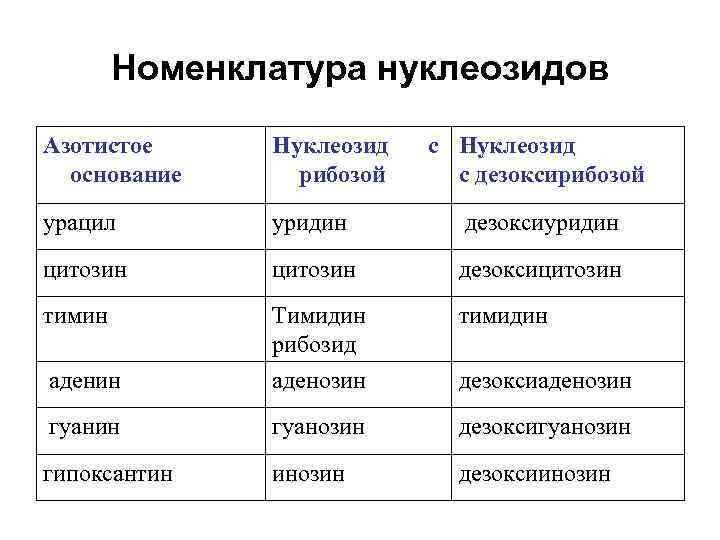 Номенклатура нуклеозидов Азотистое основание Нуклеозид рибозой с Нуклеозид с дезоксирибозой урацил уридин дезоксиуридин цитозин