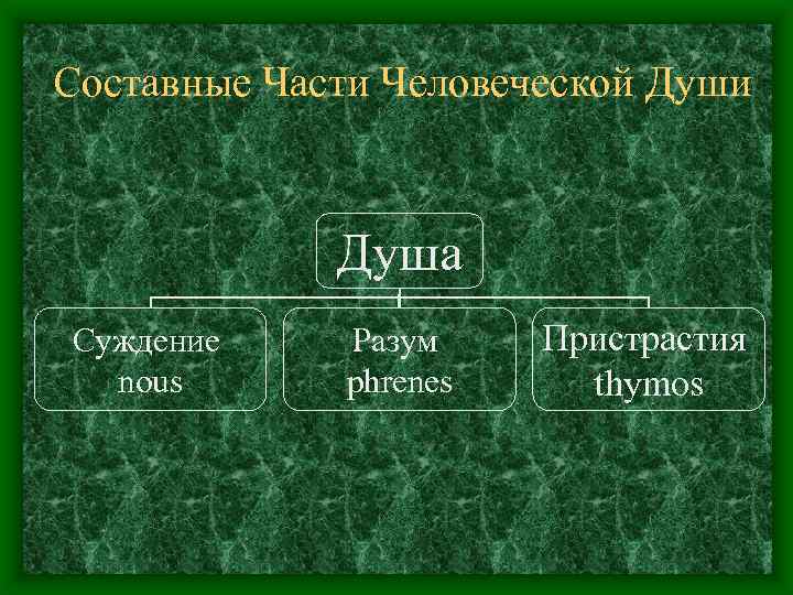 Составные Части Человеческой Души Душа Суждение nous Разум phrenes Пристрастия thymos 