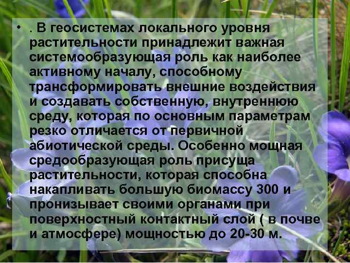  • . В геосистемах локального уровня растительности принадлежит важная системообразующая роль как наиболее