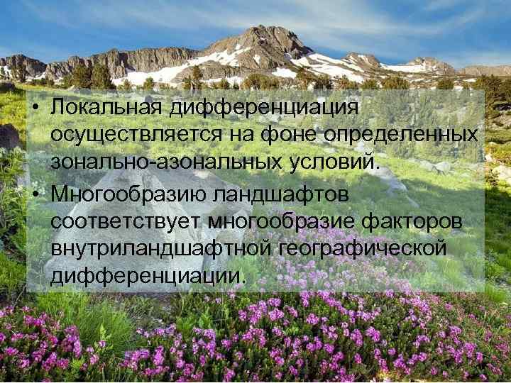  • Локальная дифференциация осуществляется на фоне определенных зонально-азональных условий. • Многообразию ландшафтов соответствует