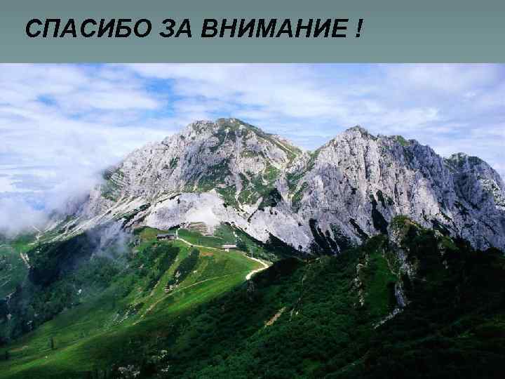 СПАСИБО ЗА ВНИМАНИЕ ! 