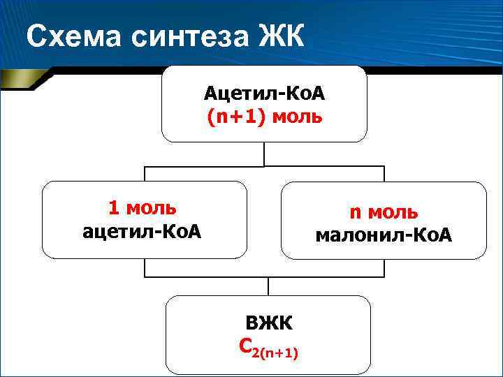 Схема синтеза ЖК Ацетил-Ко. А (n+1) моль 1 моль ацетил-Ко. А n моль малонил-Ко.