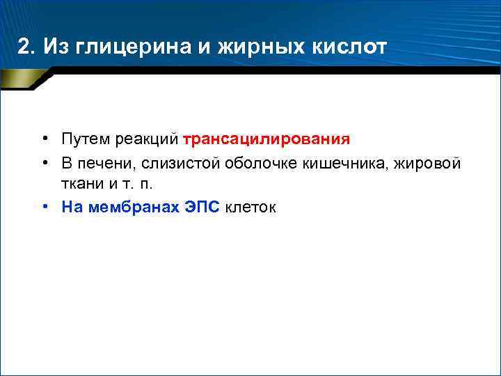 2. Из глицерина и жирных кислот • Путем реакций трансацилирования • В печени, слизистой