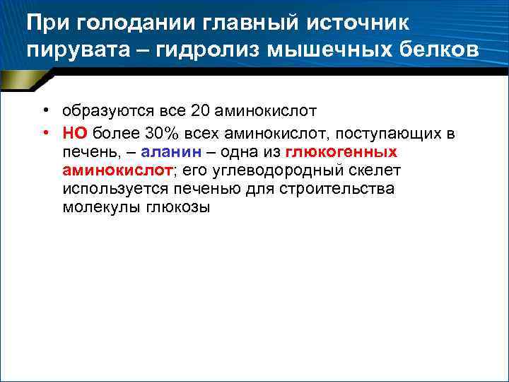 При голодании главный источник пирувата – гидролиз мышечных белков • образуются все 20 аминокислот