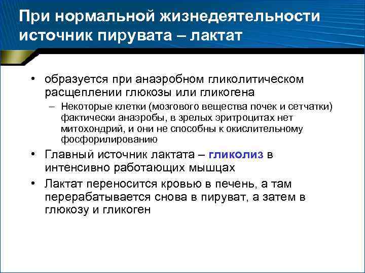 При нормальной жизнедеятельности источник пирувата – лактат • образуется при анаэробном гликолитическом расщеплении глюкозы