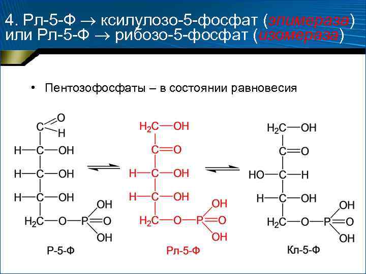 Рибозо 5 фосфат