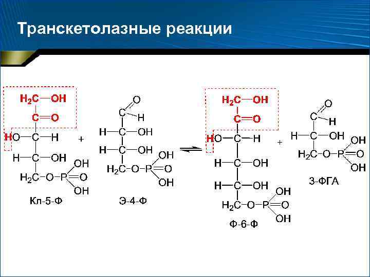 Транскетолазные реакции 