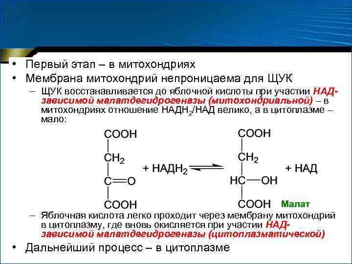 Вещество второго синтеза