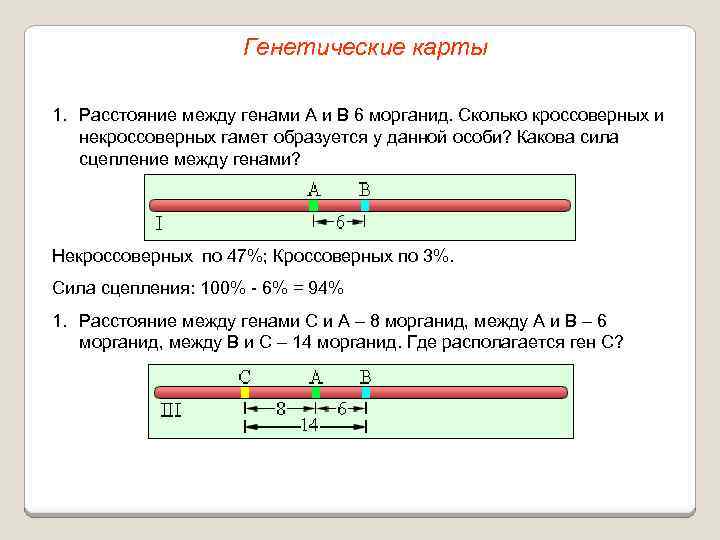 Генетические карты 1. Расстояние между генами А и В 6 морганид. Сколько кроссоверных и