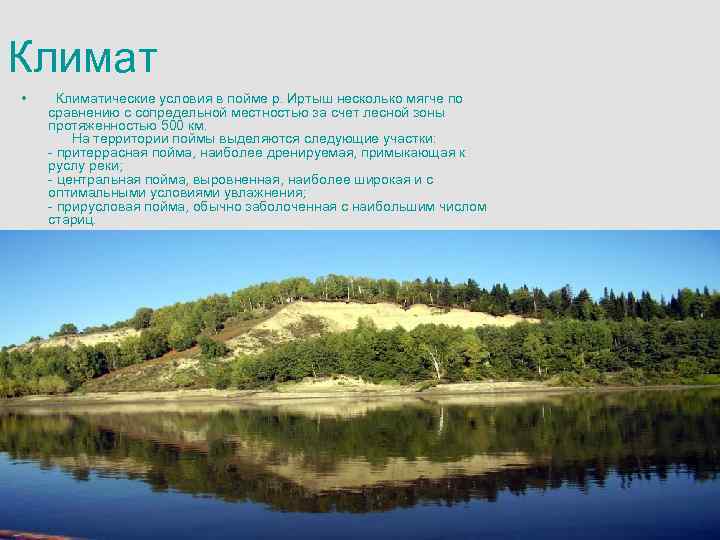 Климат • Климатические условия в пойме р. Иртыш несколько мягче по сравнению с сопредельной