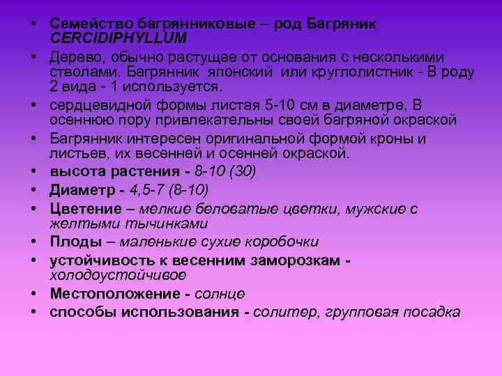  • Семейство багрянниковые – род Багряник CERCIDIPHYLLUM • Дерево, обычно растущее от основания