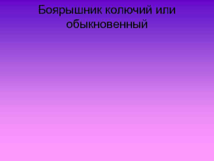 Боярышник колючий или обыкновенный 