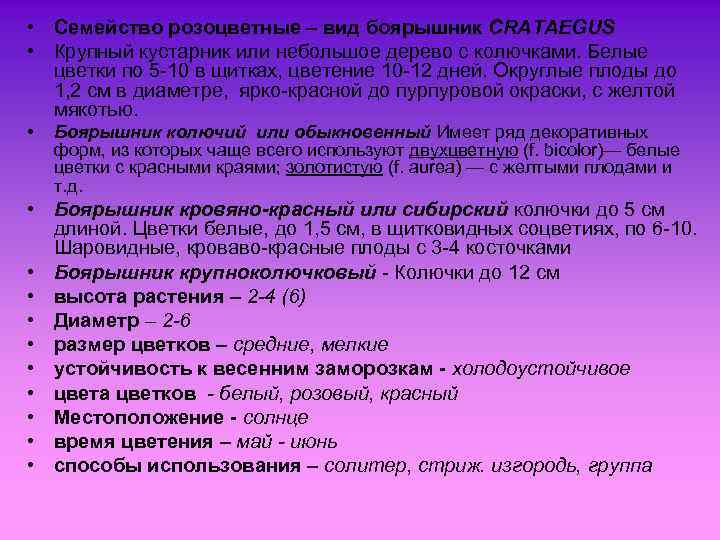  • Семейство розоцветные – вид боярышник CRATAEGUS • Крупный кустарник или небольшое дерево
