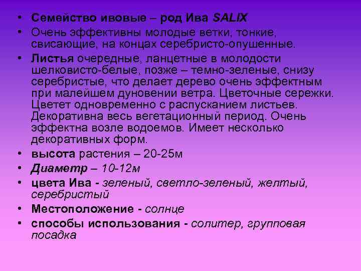  • Семейство ивовые – род Ива SALIX • Очень эффективны молодые ветки, тонкие,