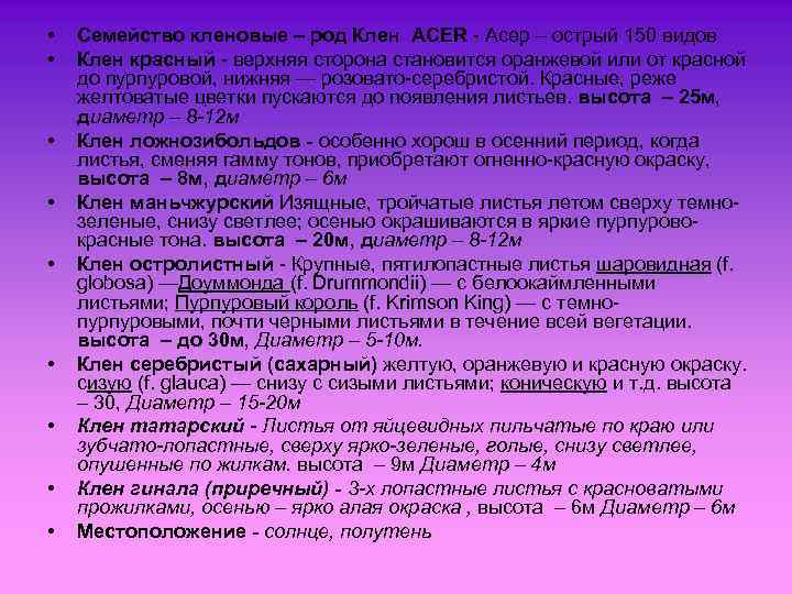  • • • Семейство кленовые – род Клен ACER - Асер – острый