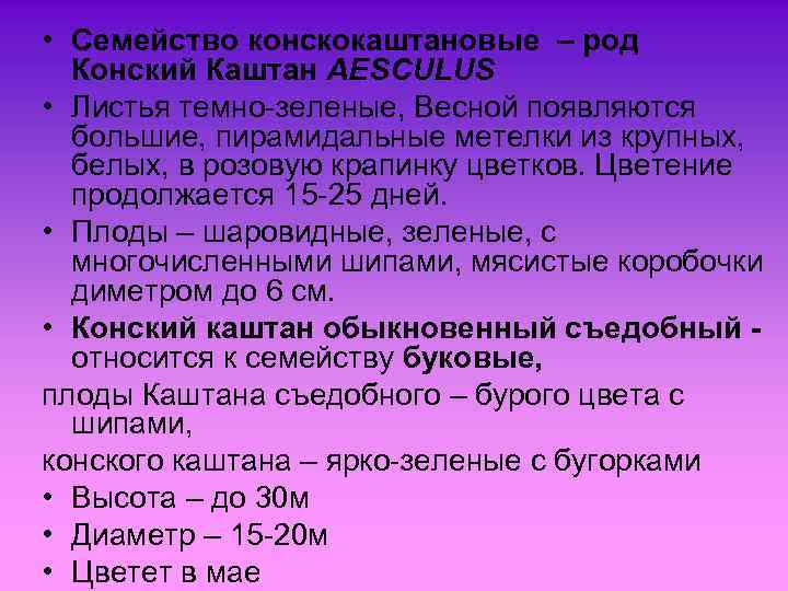  • Семейство конскокаштановые – род Конский Каштан AESCULUS • Листья темно-зеленые, Весной появляются