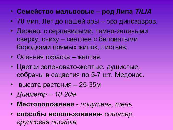  • Семейство мальвовые – род Липа TILIA • 70 мил. Лет до нашей