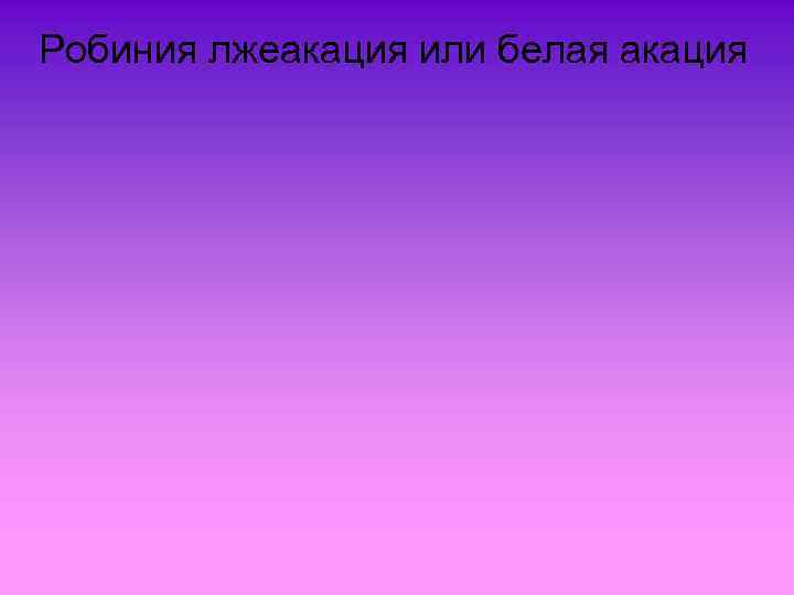 Робиния лжеакация или белая акация 