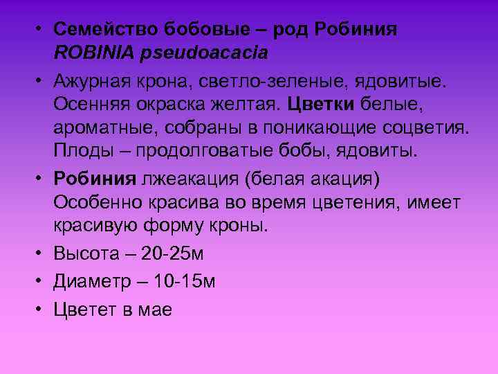  • Семейство бобовые – род Робиния ROBINIA pseudoacacia • Ажурная крона, светло-зеленые, ядовитые.