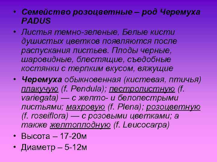  • Семейство розоцветные – род Черемуха PADUS • Листья темно-зеленые, Белые кисти душистых