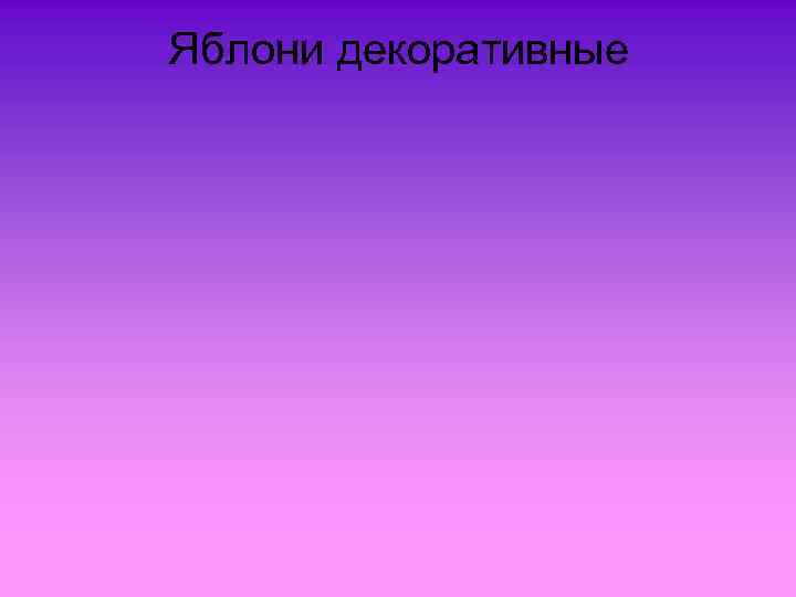Яблони декоративные 