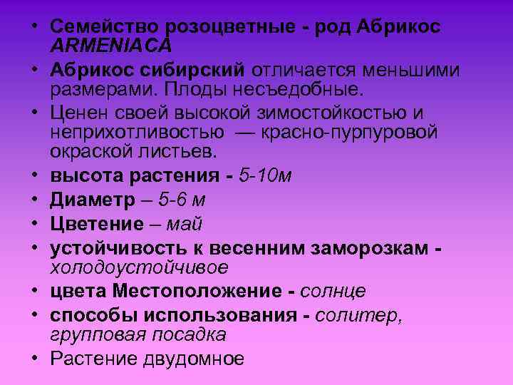  • Семейство розоцветные - род Абрикос ARMENIACA • Абрикос сибирский отличается меньшими размерами.