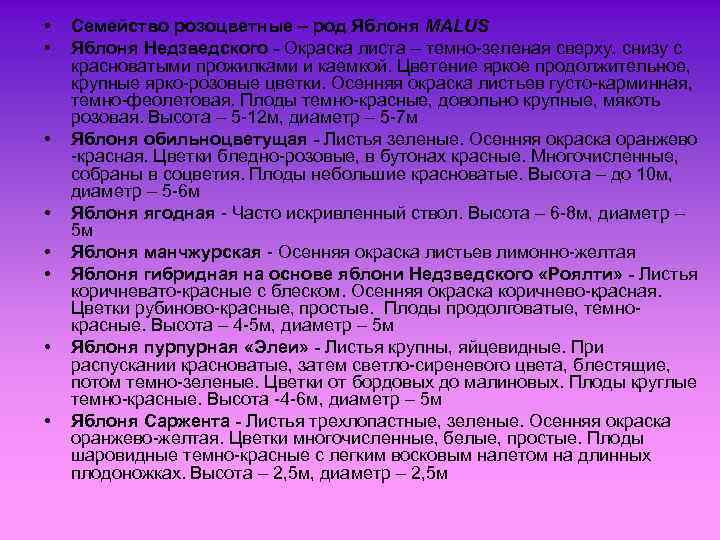  • • Семейство розоцветные – род Яблоня MALUS Яблоня Недзведского - Окраска листа