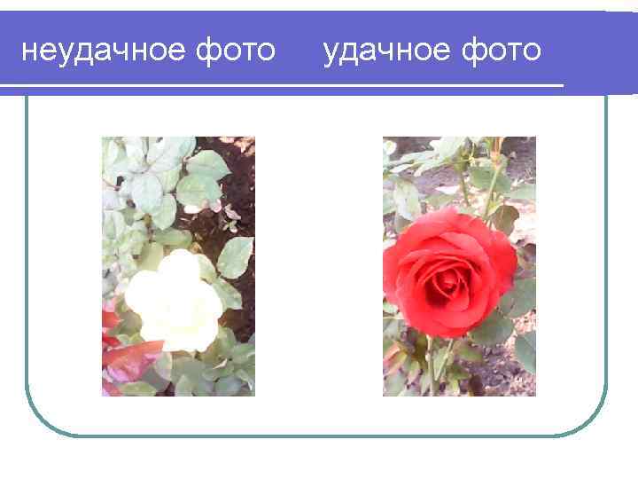 неудачное фото 