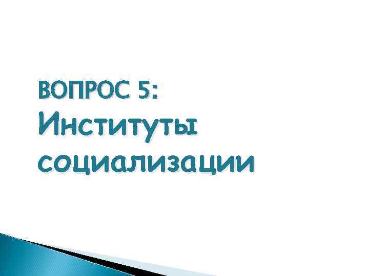 ВОПРОС 5: Институты социализации 