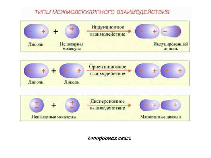 водородная связь 