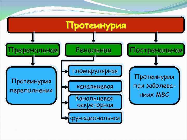 Протеинурия Преренальная Ренальная гломерулярная Протеинурия переполнения канальцевая Канальцевая секреторная функциональная Постренальная Протеинурия при заболеваниях