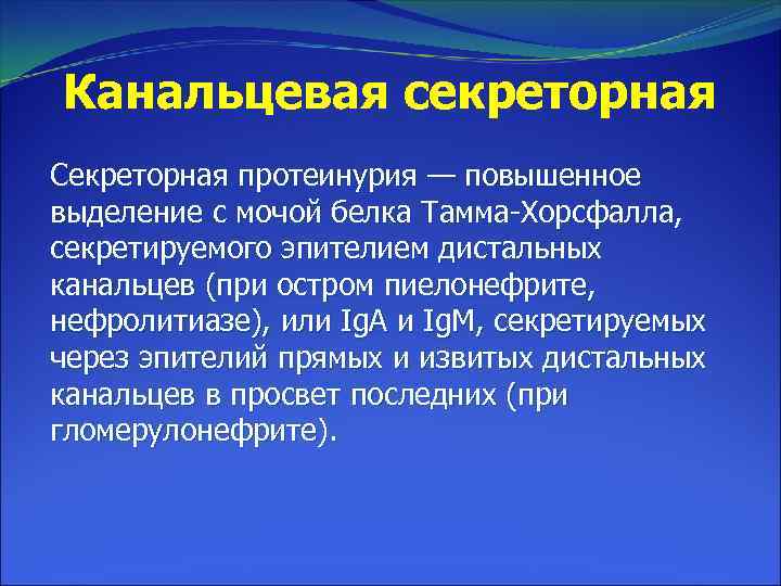 Канальцевая секреторная Секреторная протеинурия — повышенное выделение с мочой белка Тамма Хорсфалла, секретируемого эпителием