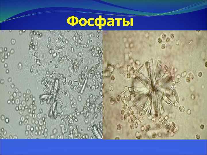 Фосфаты 